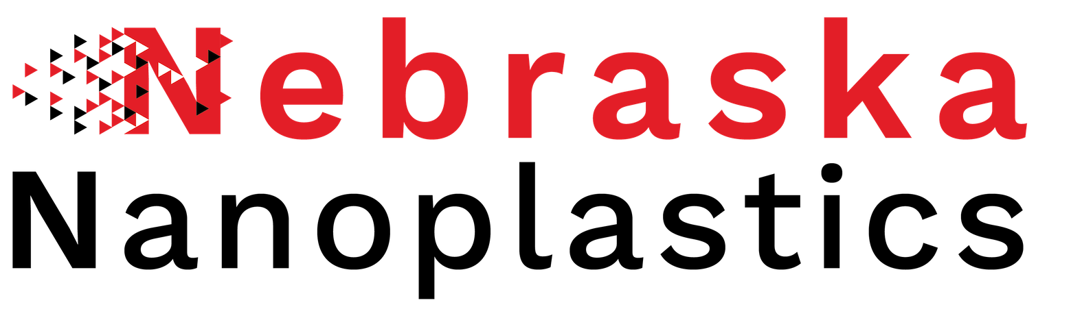 Nano Logo